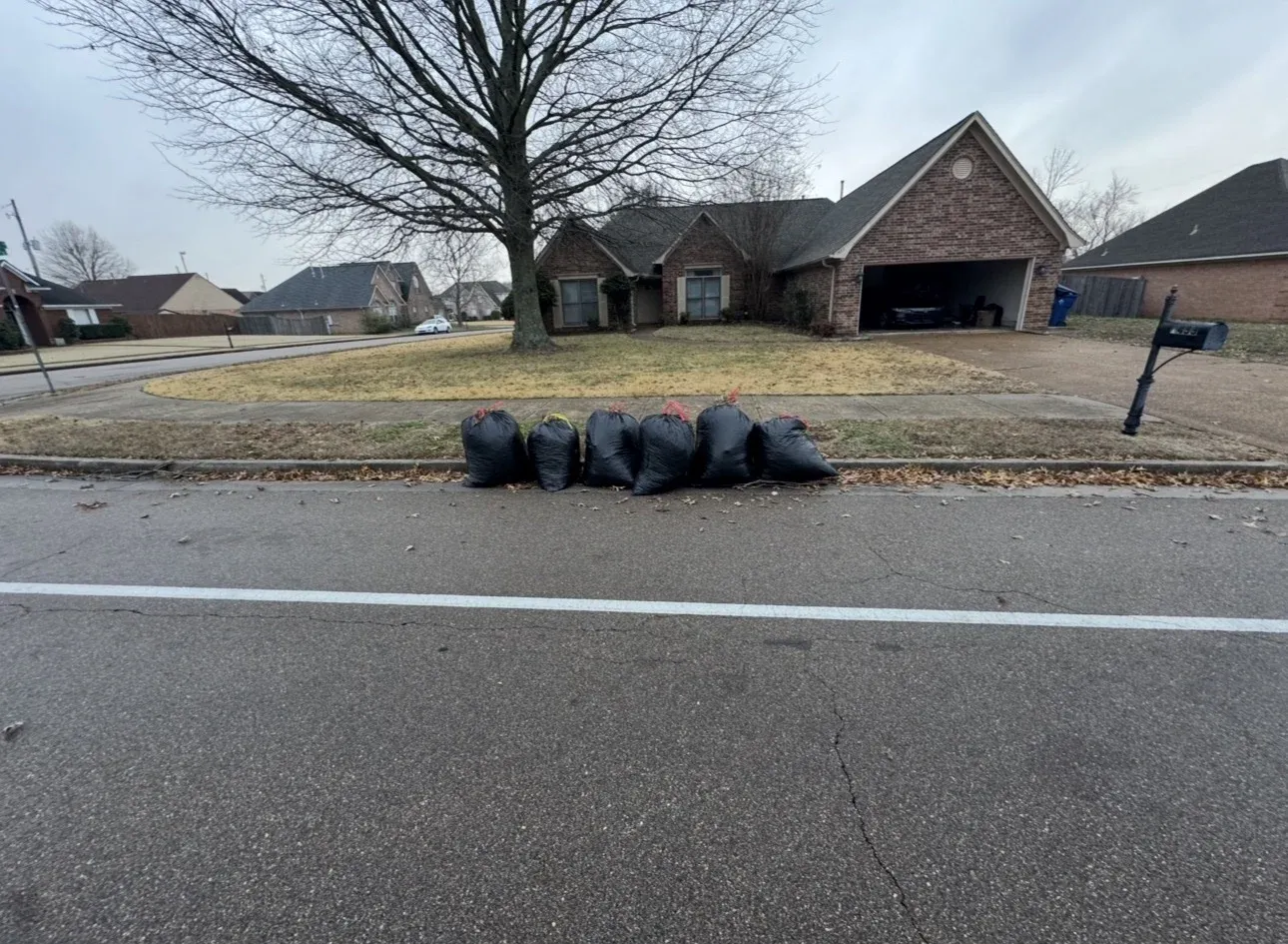 A residential street with a brick home and property waste bagged and lined up for a scheduled cleanup.
